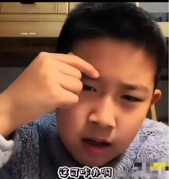 “看哭了[流泪]”！一个9岁男孩发视频说：我妈妈37岁，失业后就再也找不到工作了