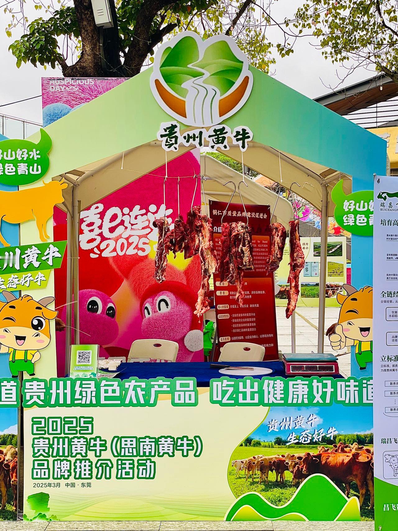 周六在莞香印巷偶遇了一个快闪活动！！[羞嗒嗒]惊喜发现贵州黄牛走进大湾区啦！👏