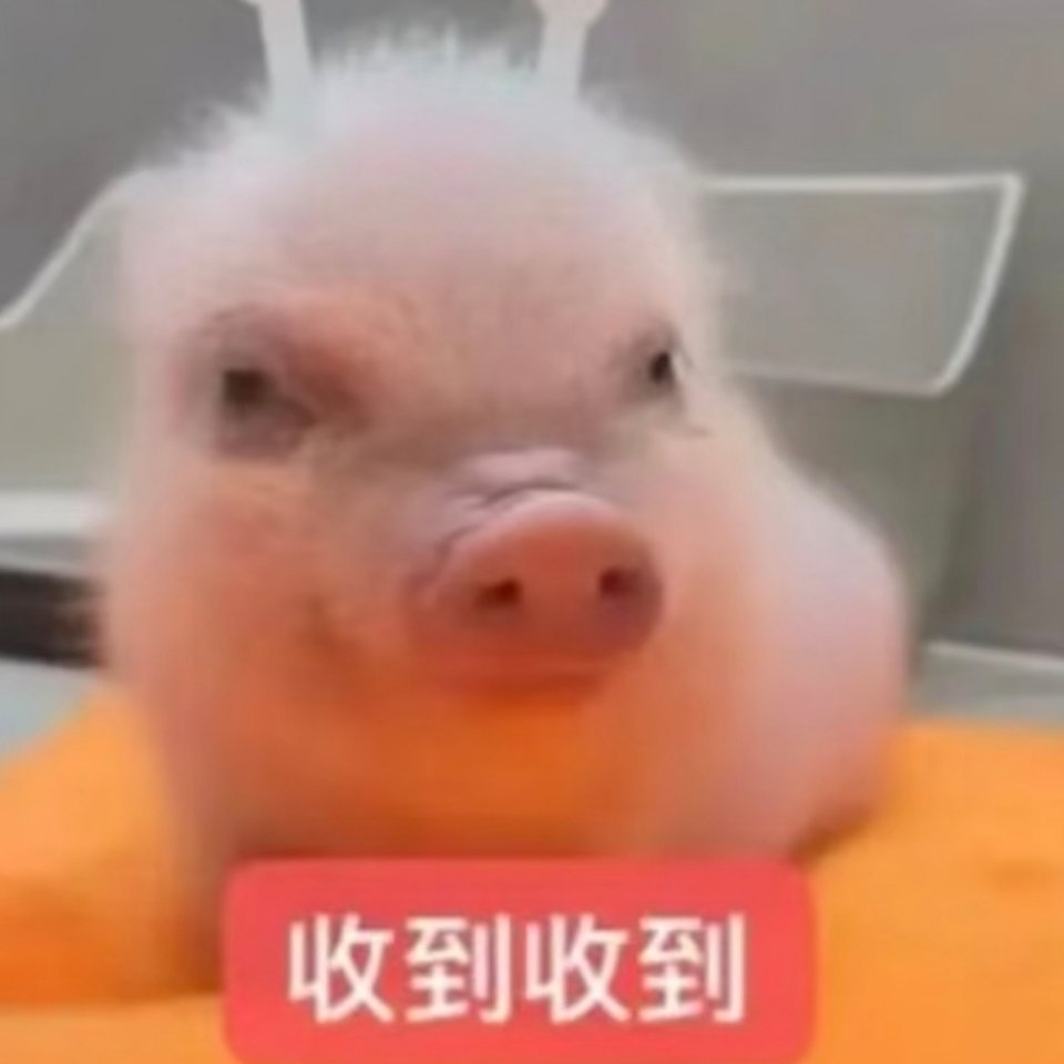 哎呀，明天就是周五了，又能跟强哥date了生活手记 ​​​