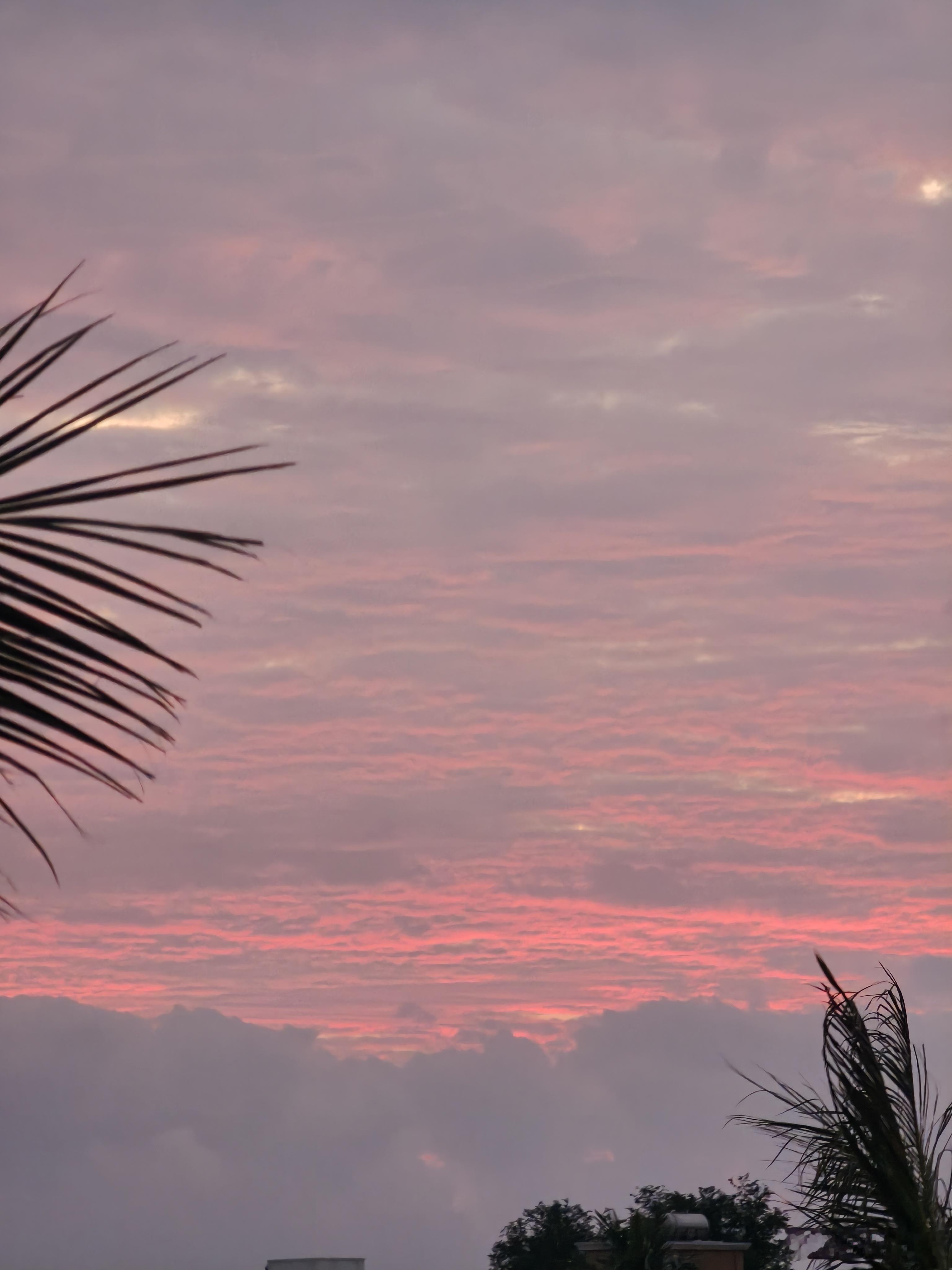 早呀佳人们，春节假期最后一天了，大家在哪玩？ 