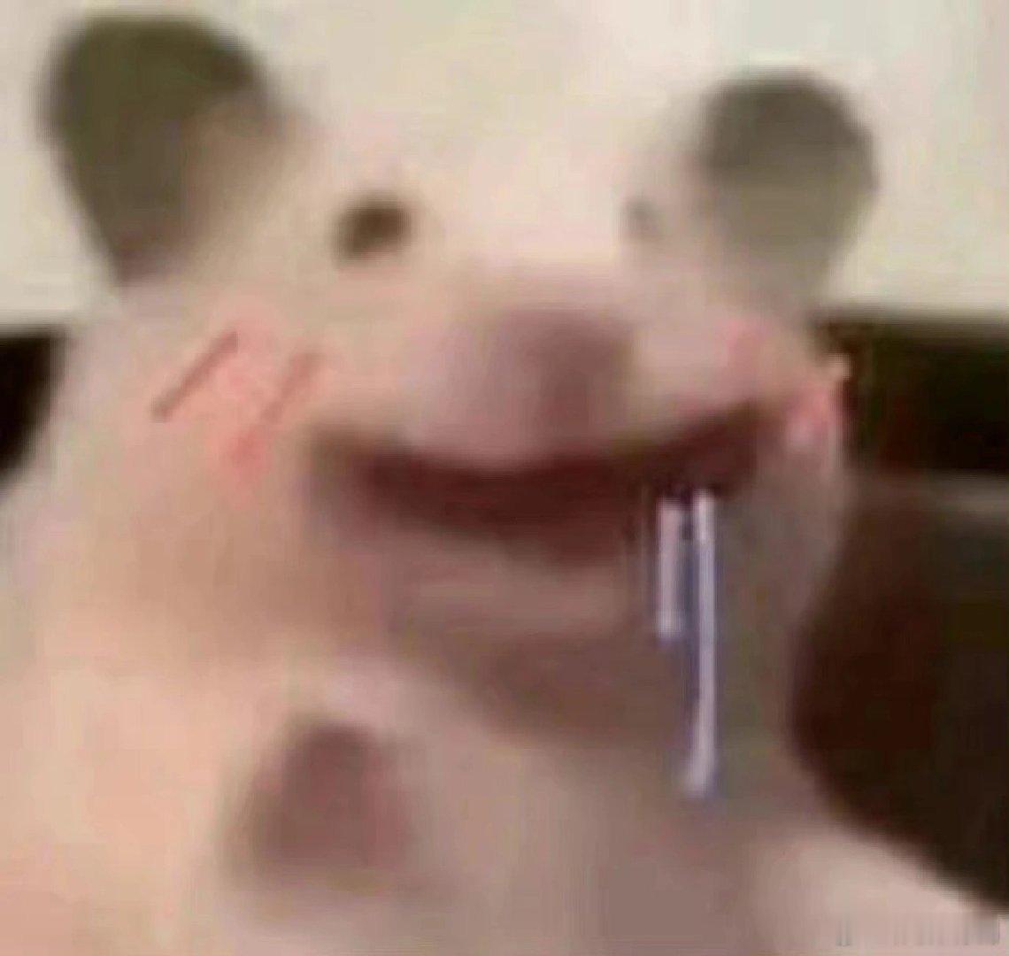 #2024毕业生工作指南#我真的很喜欢这样的一个工作指南，而且面对毕业肯定有许许