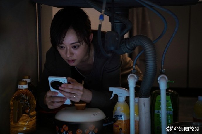 上一个惹孙俪的人已经驾崩了至臻版孙俪 孙俪演颜聆真的狠！前期憋屈，后期反杀直接爽