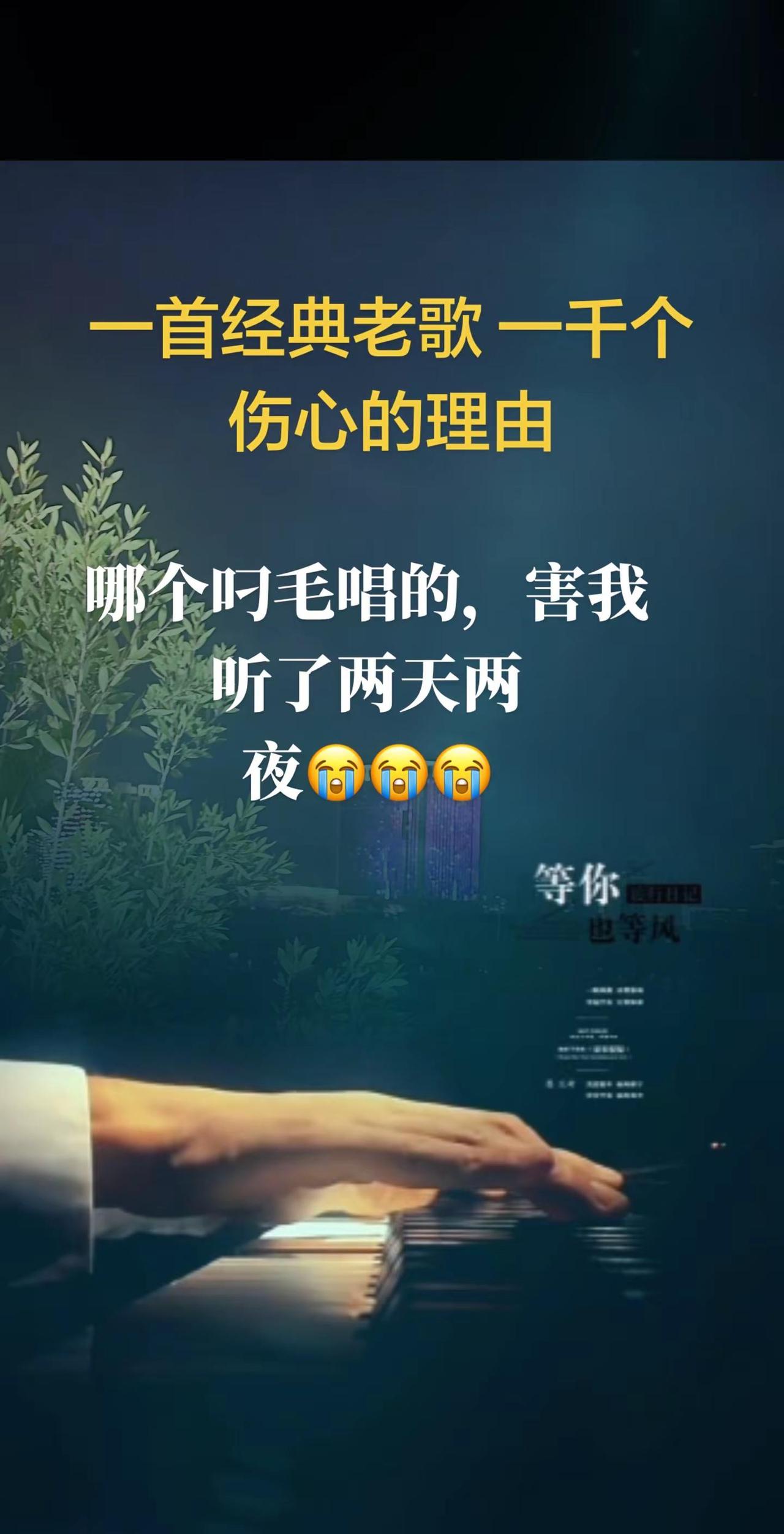 一曲肝肠断，天涯何处觅知音!唯有经历，才会让人成长。唯有经历，才会让人看透了许多