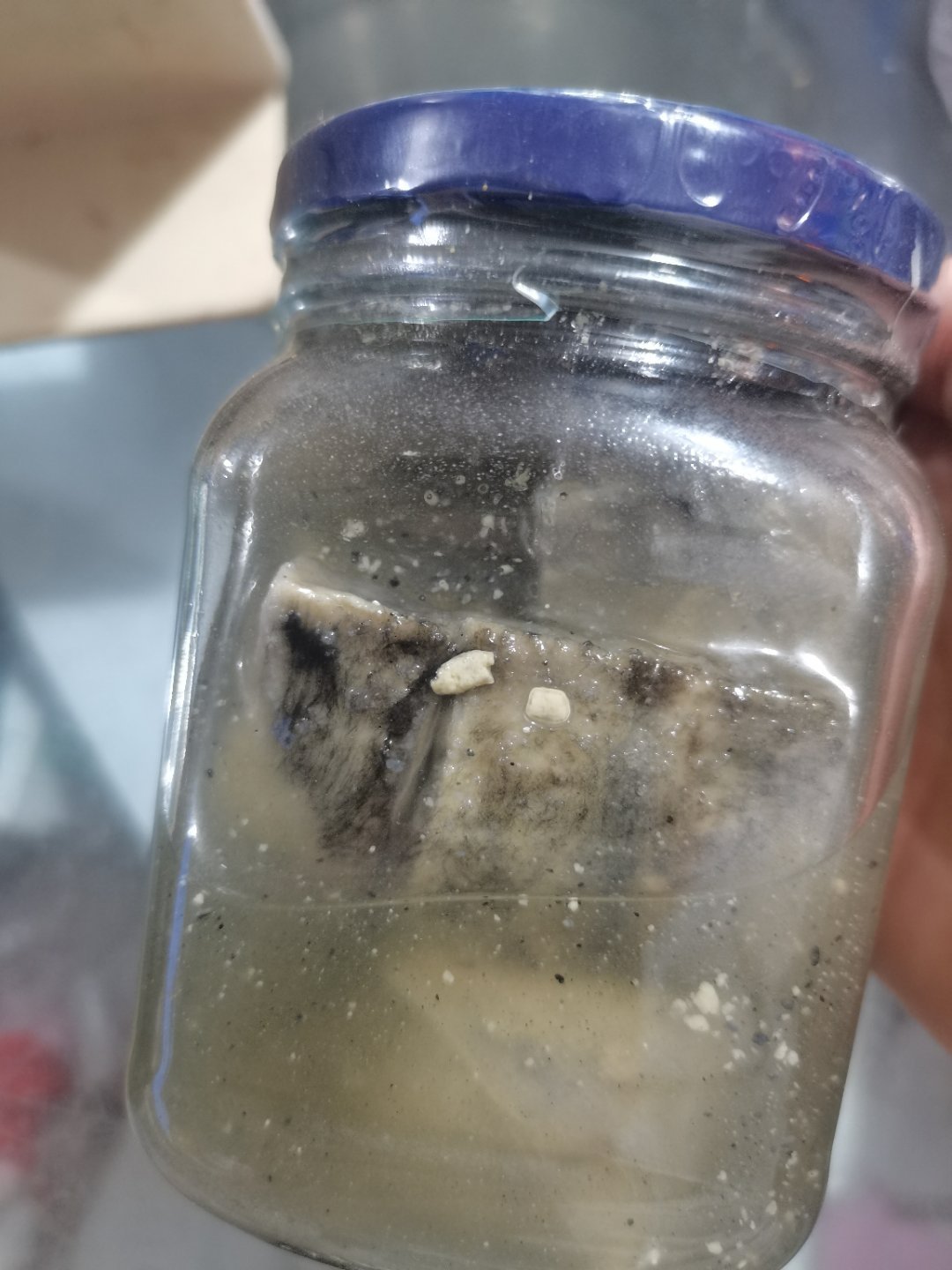 臭豆腐就是这样的？确定能吃？ 