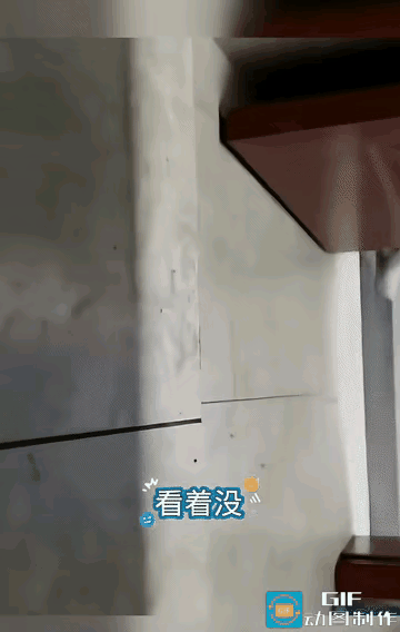大爷这下没招了吧
被蹲个正着