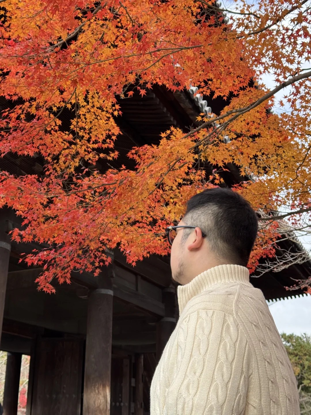 南禅寺红叶🍁可去