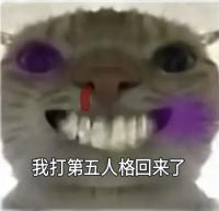 被打成筛子了