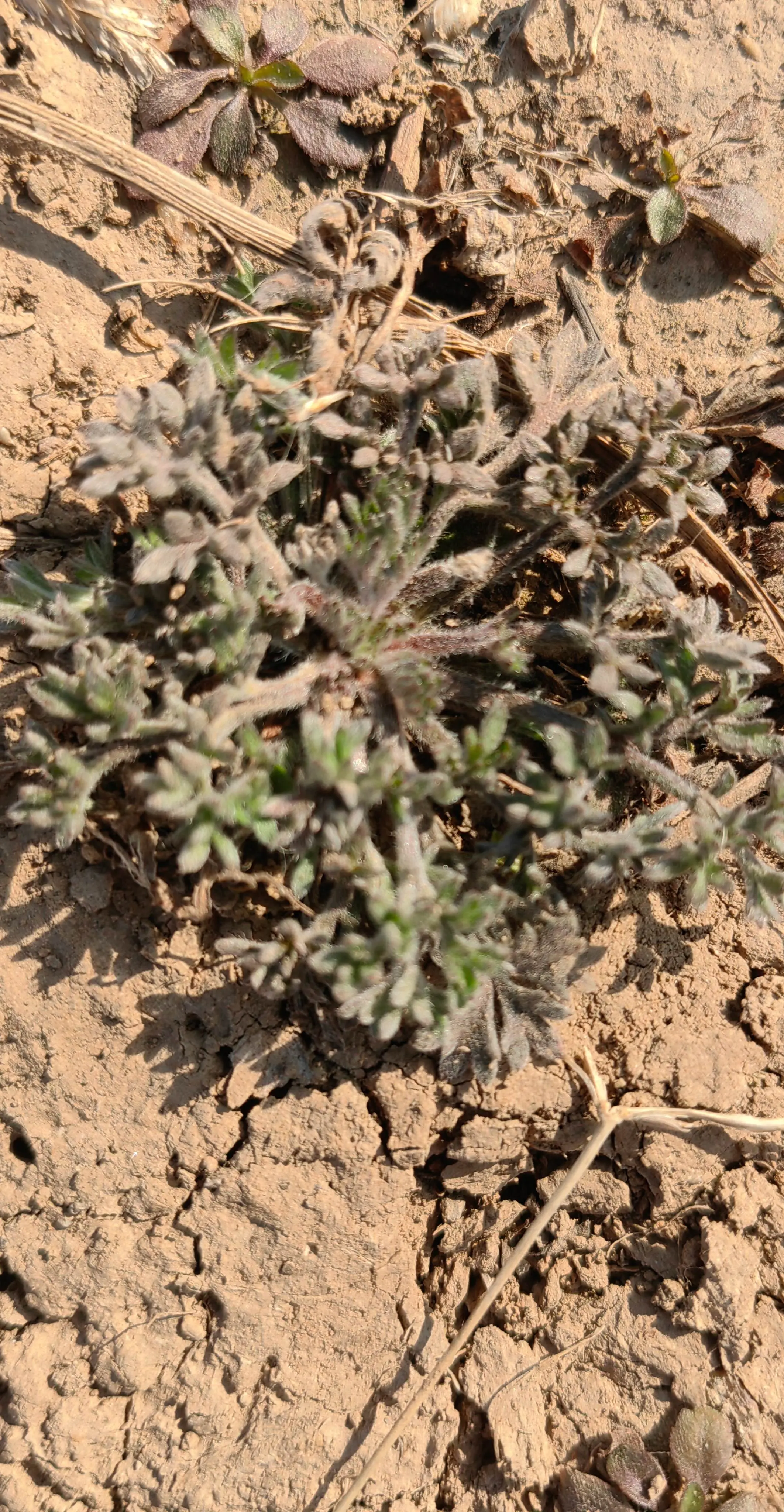 庭山谈美｜世事茫茫，光阴有限，算来何必奔忙？ 人生碌碌，竞短论长，却不...