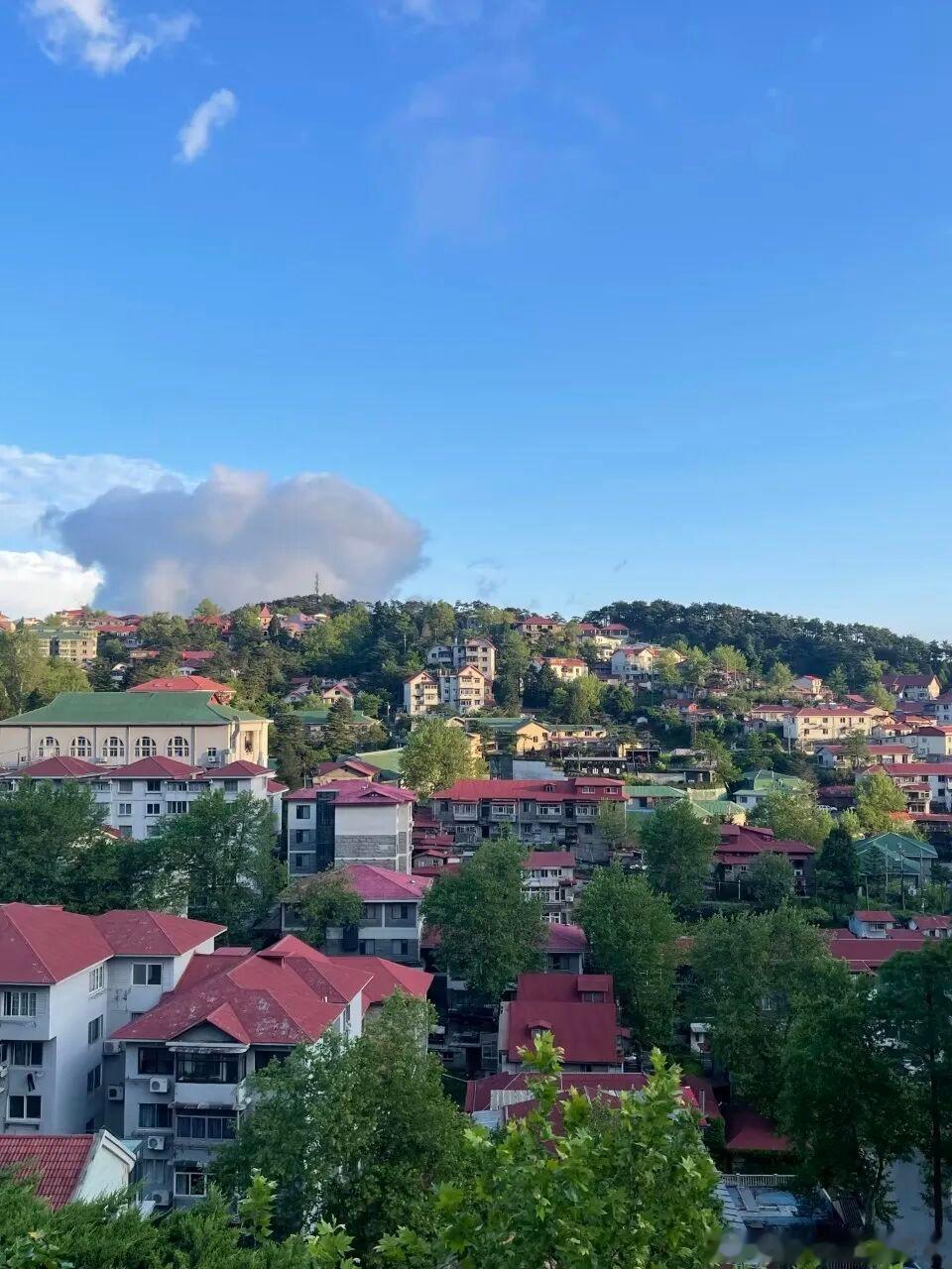 每年三伏必冲牯岭镇！千米云端小镇均温 22℃，树荫下全是凉丝丝山风，傍晚得添薄外