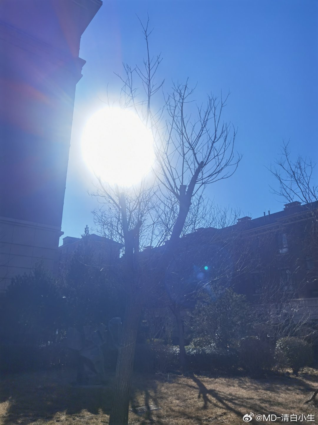 一出门意识到穿多了，那么大的太阳。 