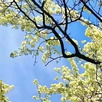每日一善，让我们的心灵更加美丽。用善意去关爱他人，用阳光去照亮世界。让我们一起加