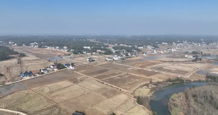 衡龙桥镇：抢抓农闲时节 加快推进高标准农田建设