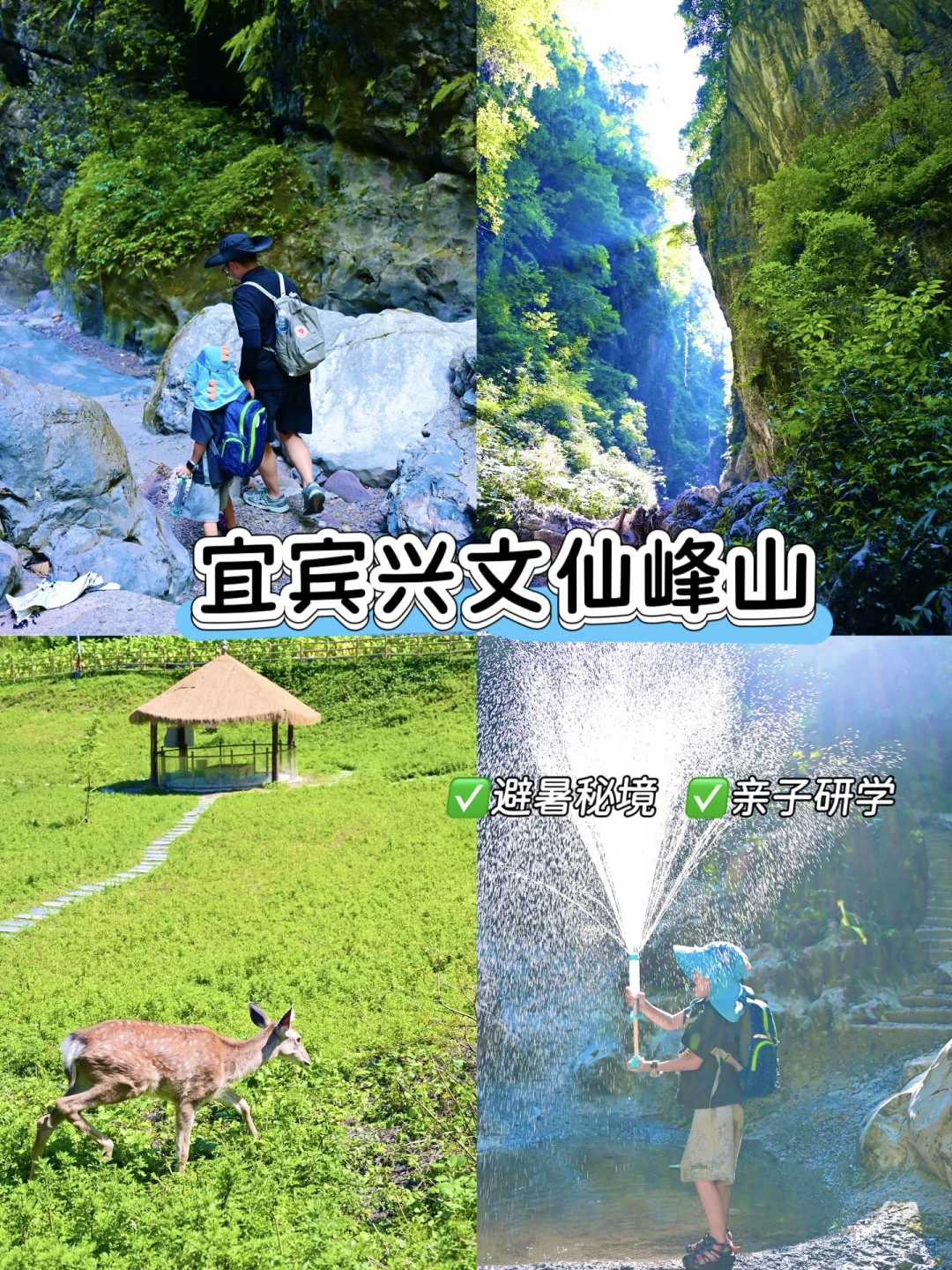 川南避暑秘境🌲——宜宾仙峰山亲子研学攻略
