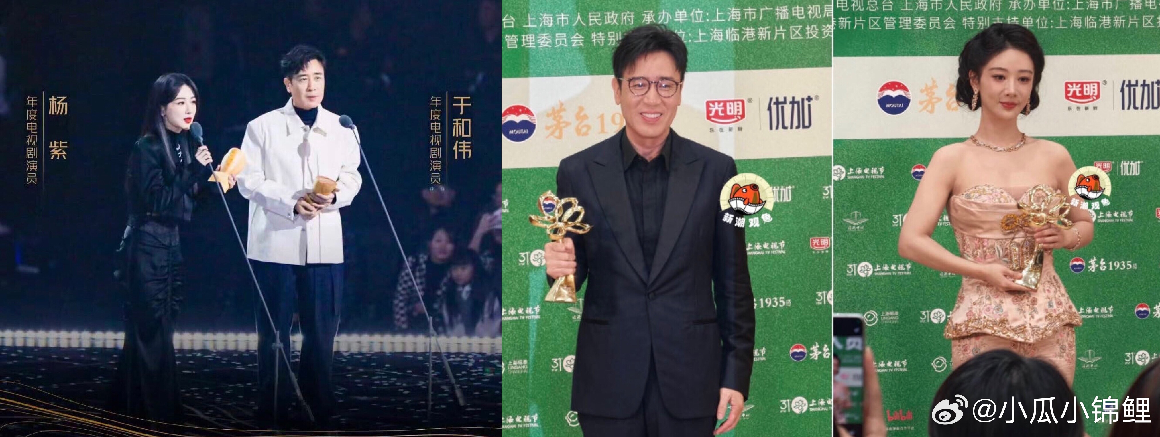 杨紫的一路走来 早就认可的实力演员 