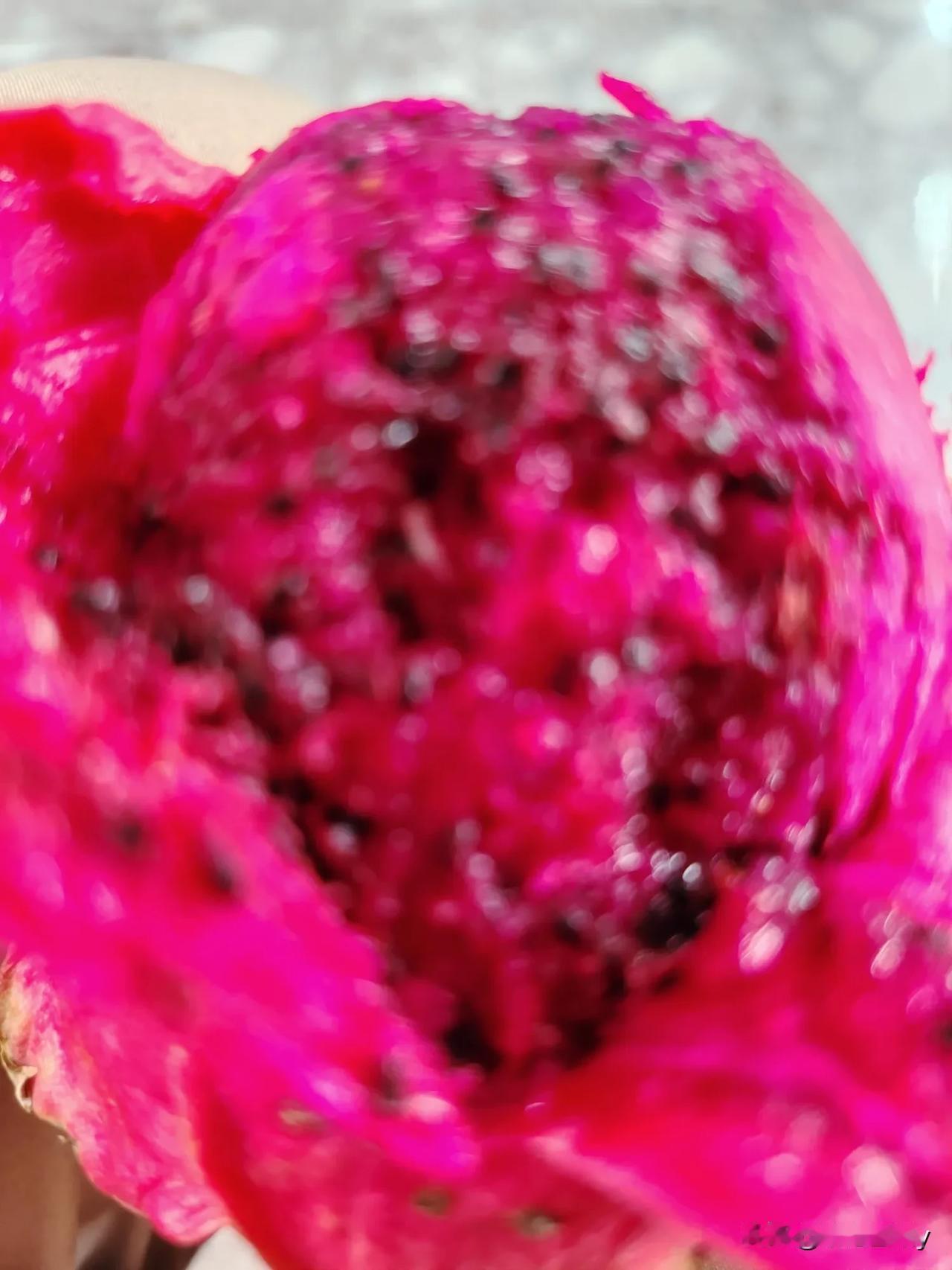 一开始以为眼花，仔细一看真的是，刚刚繁殖的小蛆在爬，顿时胃口翻腾，怎么会有这个东