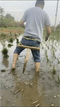农民的智慧是无穷的农民老农感悟 农民心得 农民种地智慧 老辈种地智慧 种田感悟 
