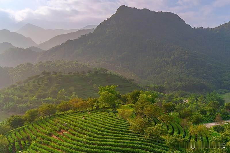 英德沙口镇没留下太多印象，只知道它有个大型的电厂。
为拍摄坐落在北江边上的京广线