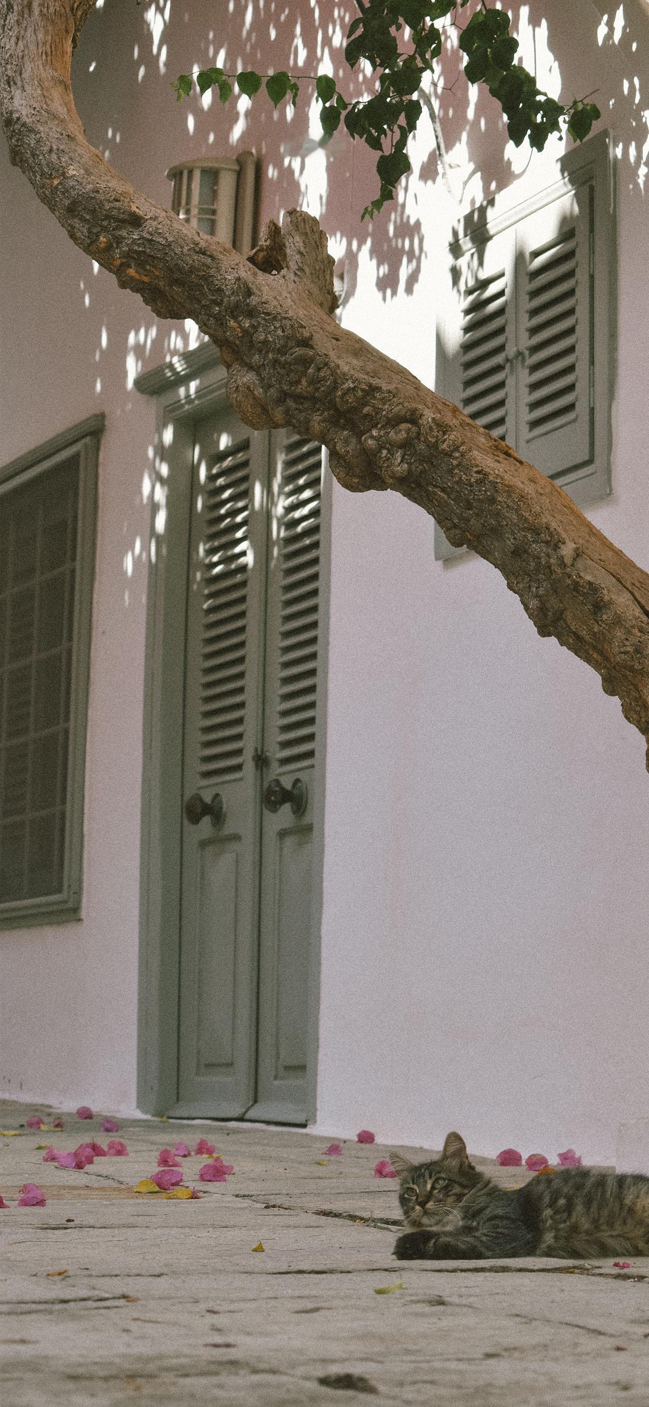 一组非常有意境的风景壁纸 