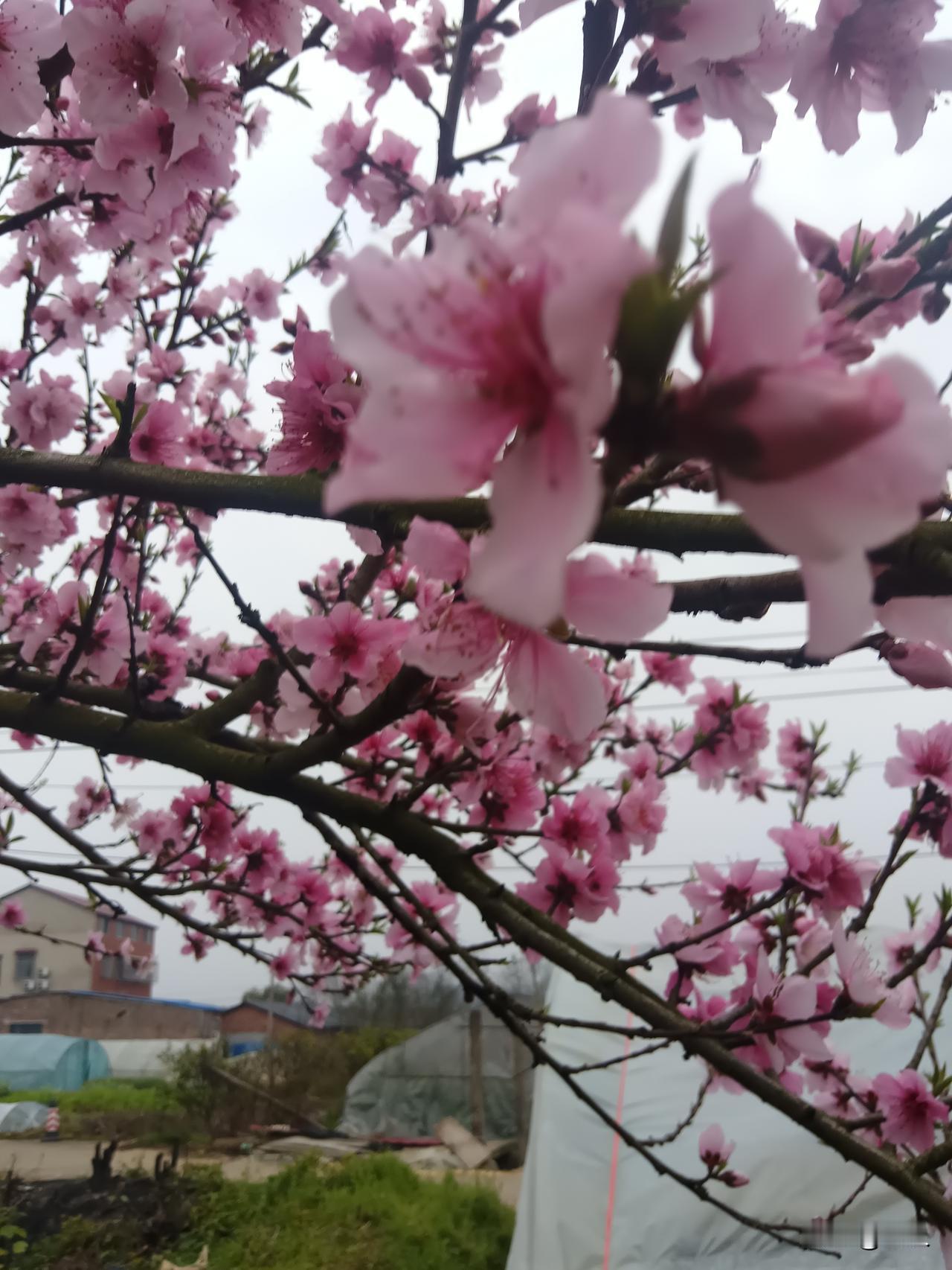 央视315晚会收视率高你认同吗？为什么大家总会觉得315是中国特有？因为每年这一