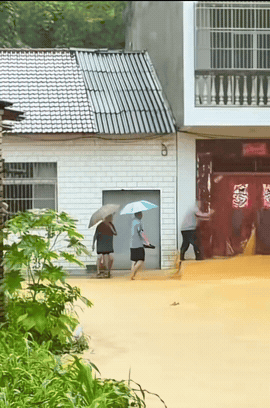 别人是抗灾，这家我愣是没看懂！