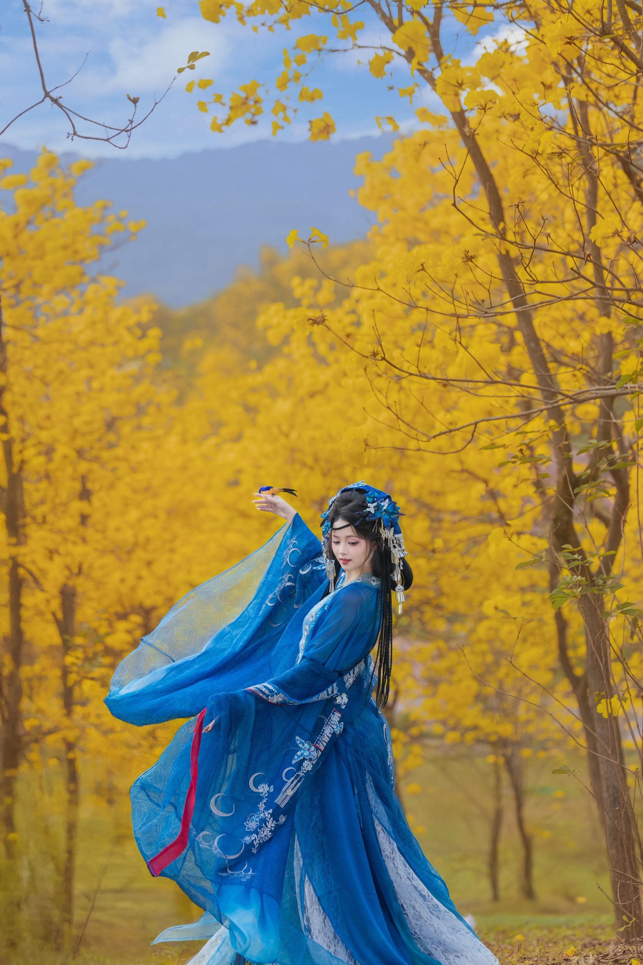 何不与我共赴春朝。今年青秀山的黄风铃开得好好呀