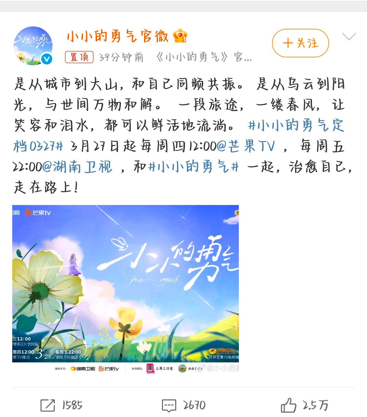 赵露思小小的勇气上星赵露思小小的勇气上星湖南卫视 赵露思的综艺《小小的勇气》，即