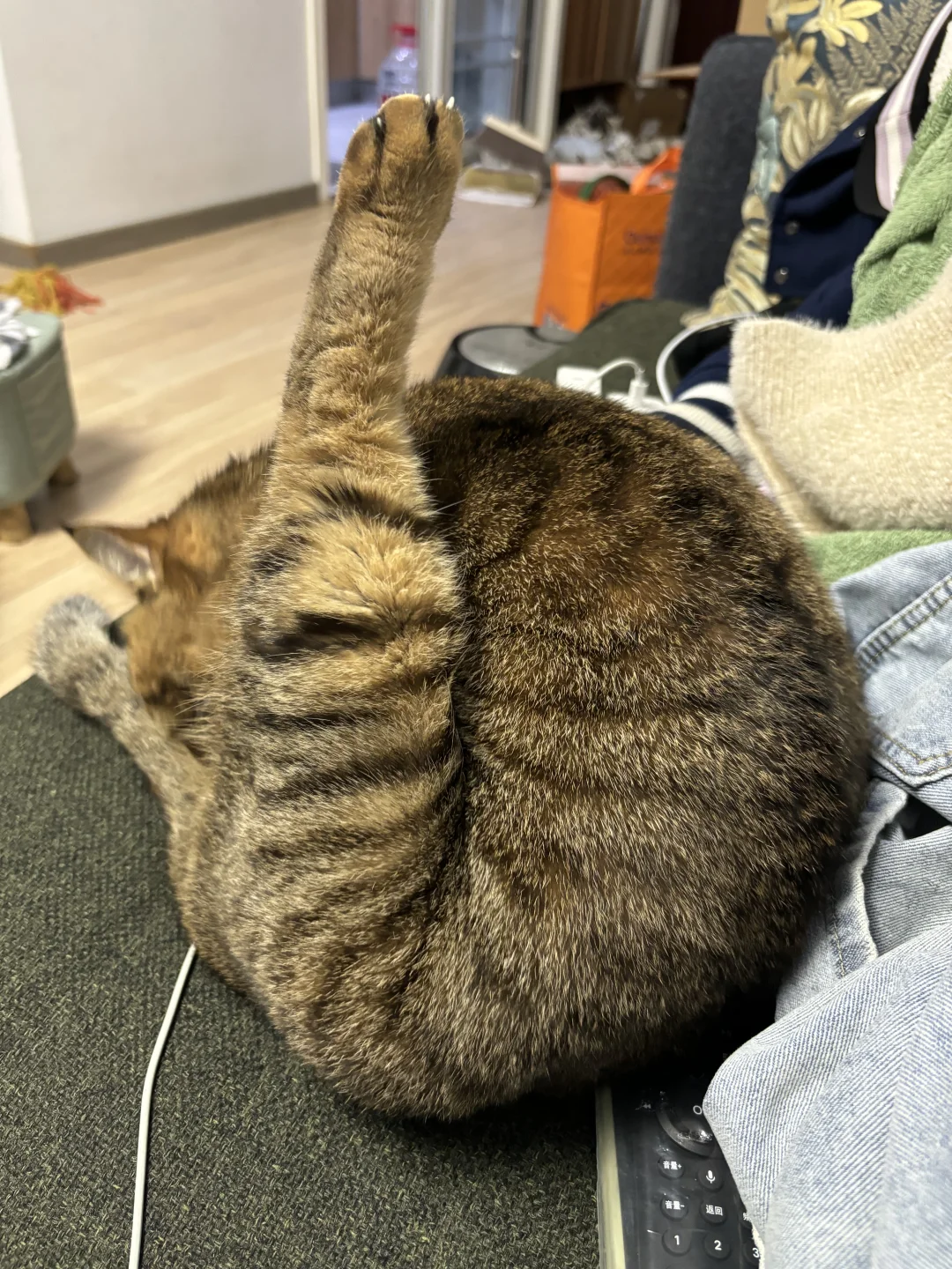 想要一个全是大鸡腿的评论区