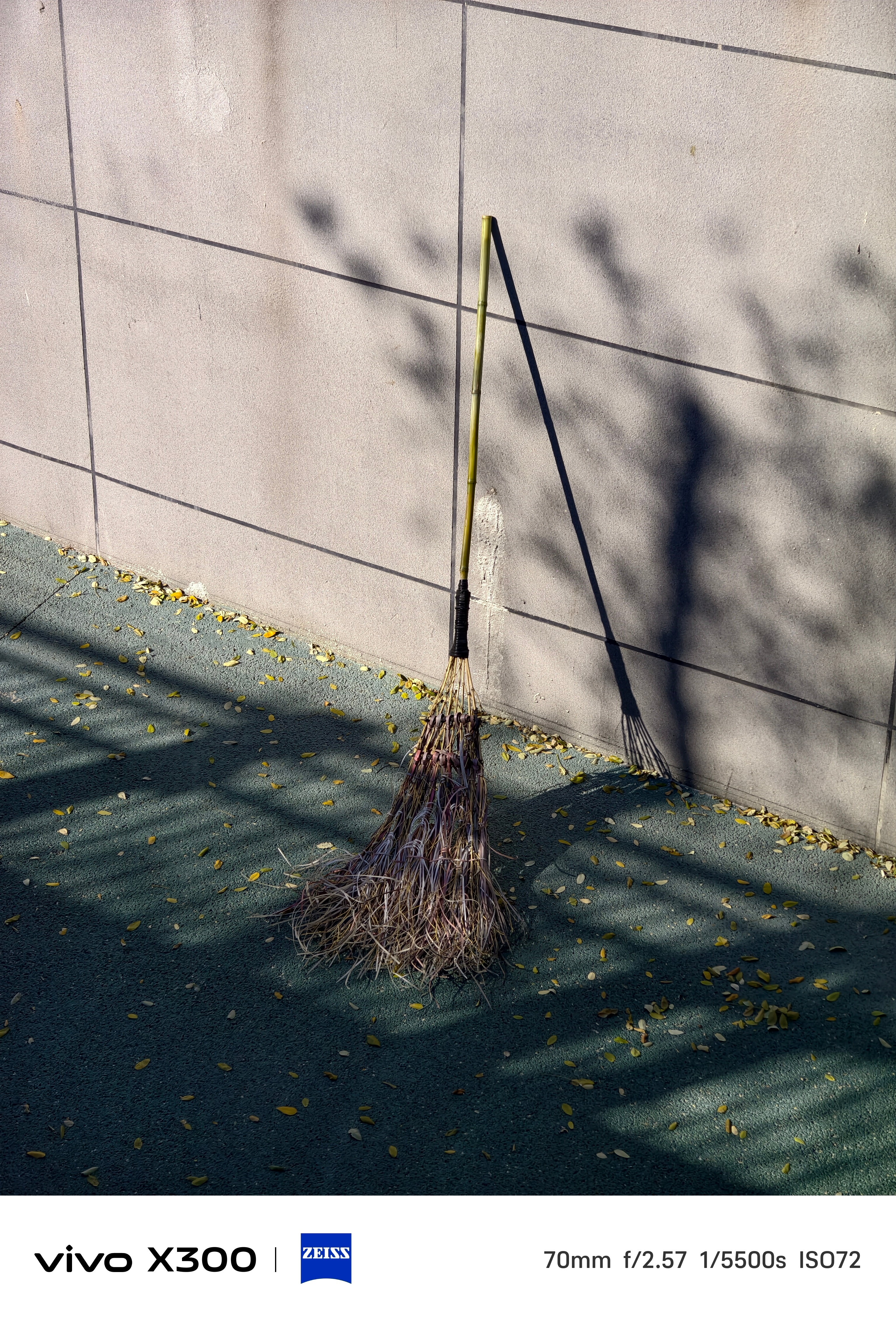 光影、色彩…vivo X300拍出来的照片自带高级感，画面很柔和自然，并且画质也