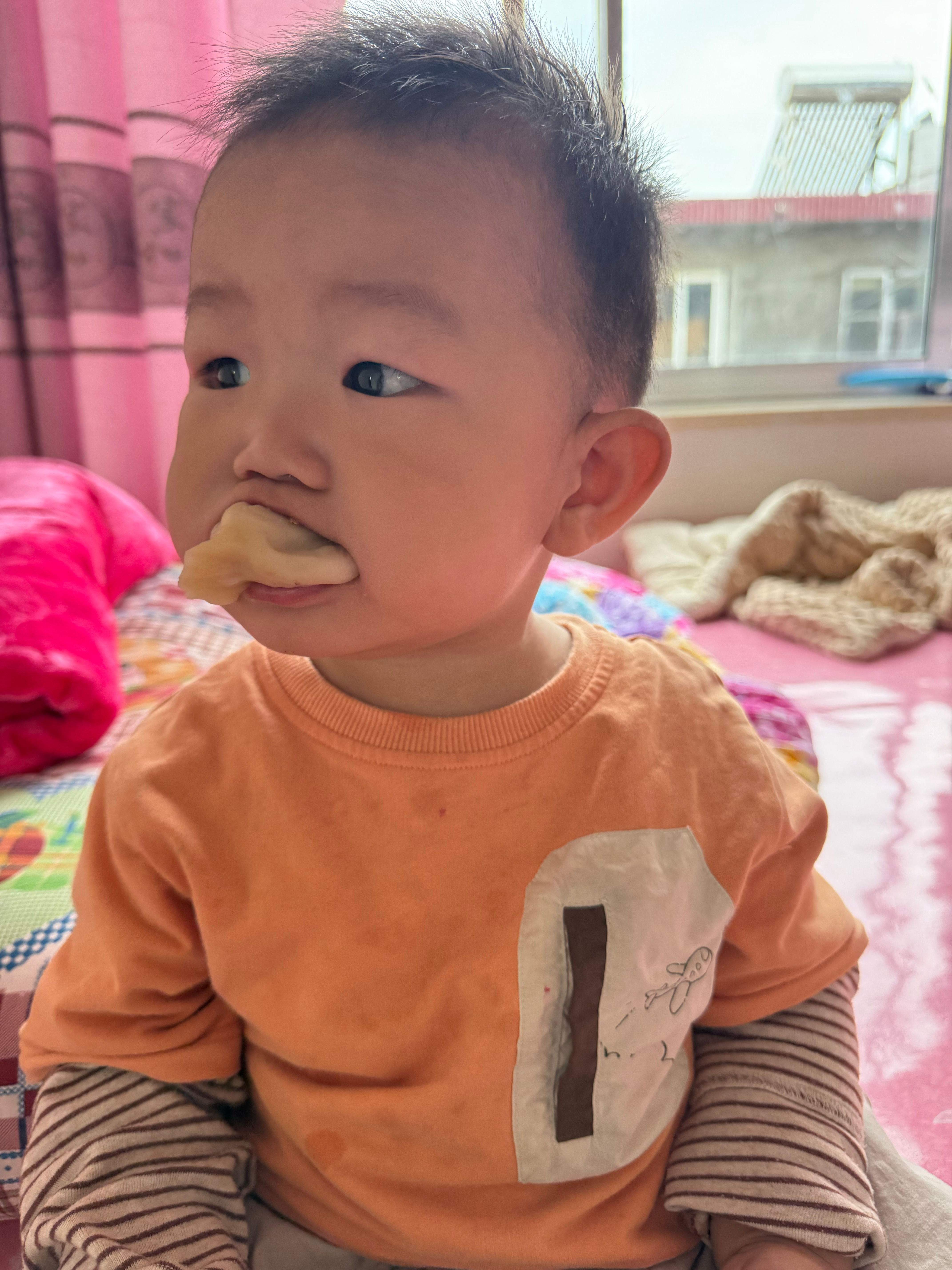 每个周一想崽崽