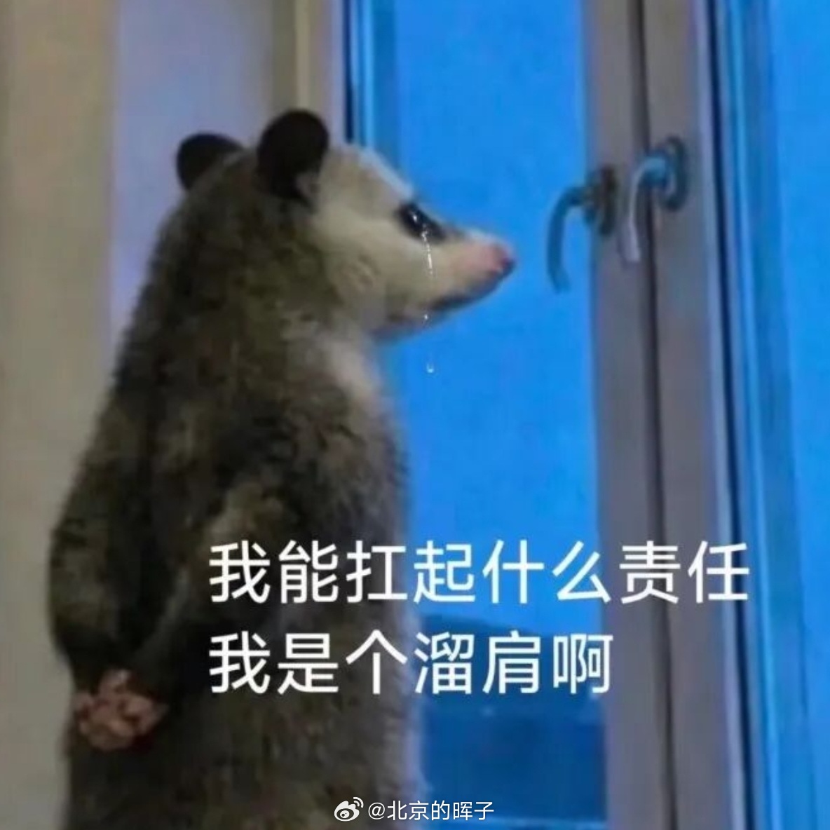 犯困是过敏的症状之一，我上班过敏了。 