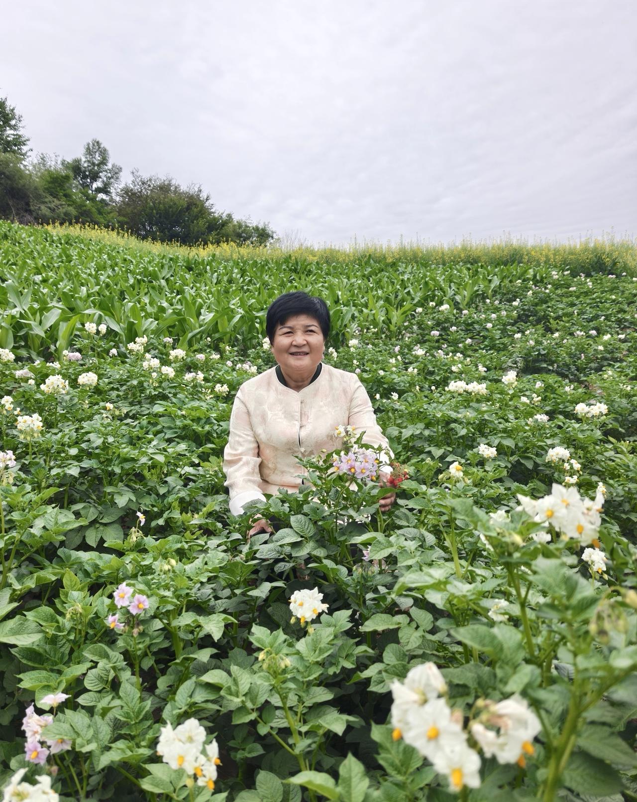 霍尔木兹海峡局势综合分析：全球能源命脉上的“火药桶”再次升温
7月1日，霍尔木兹