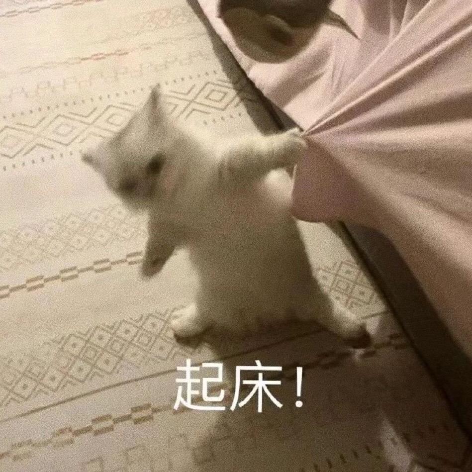 分享一些奇奇怪怪可可爱爱有有趣趣的表情包。表情包