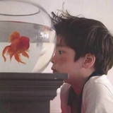 淑顺爱看娱乐