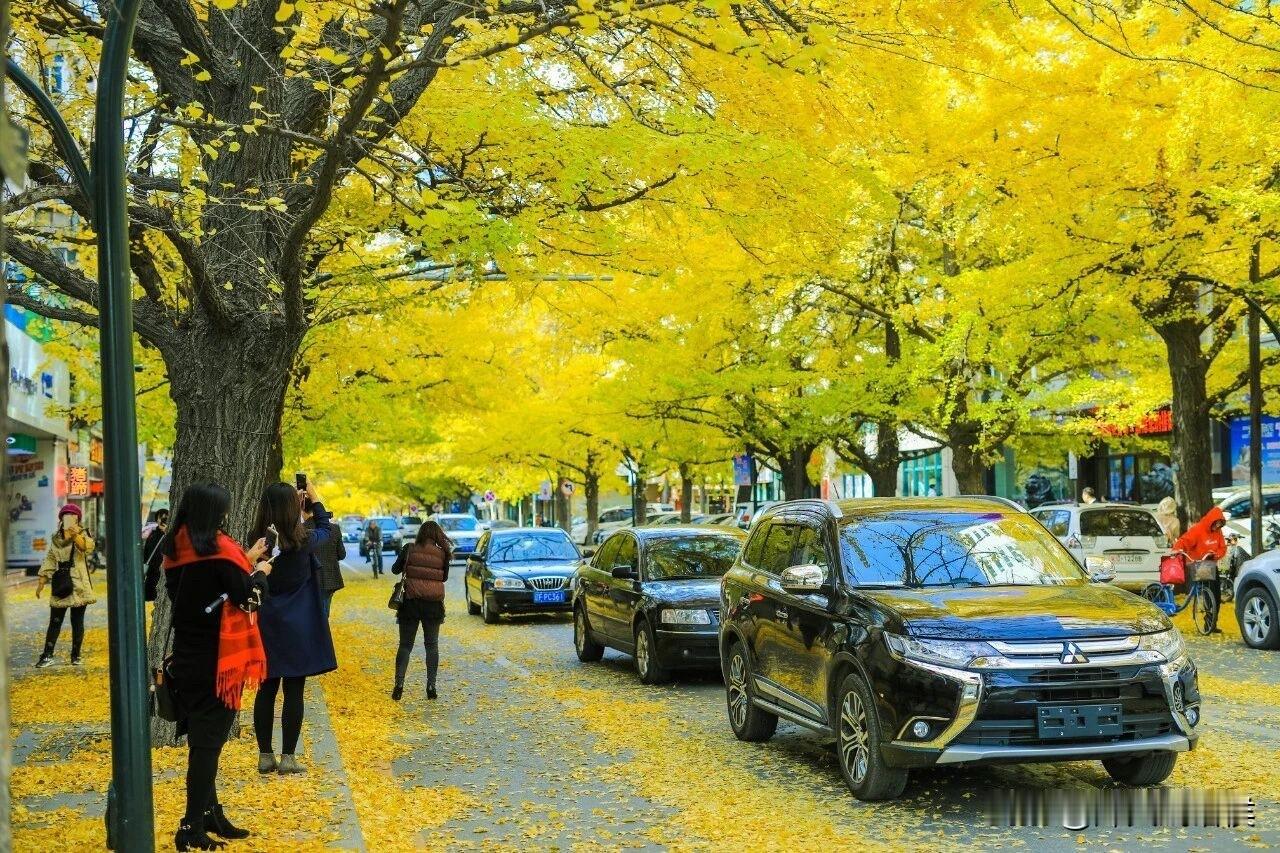 冬日生活打卡季