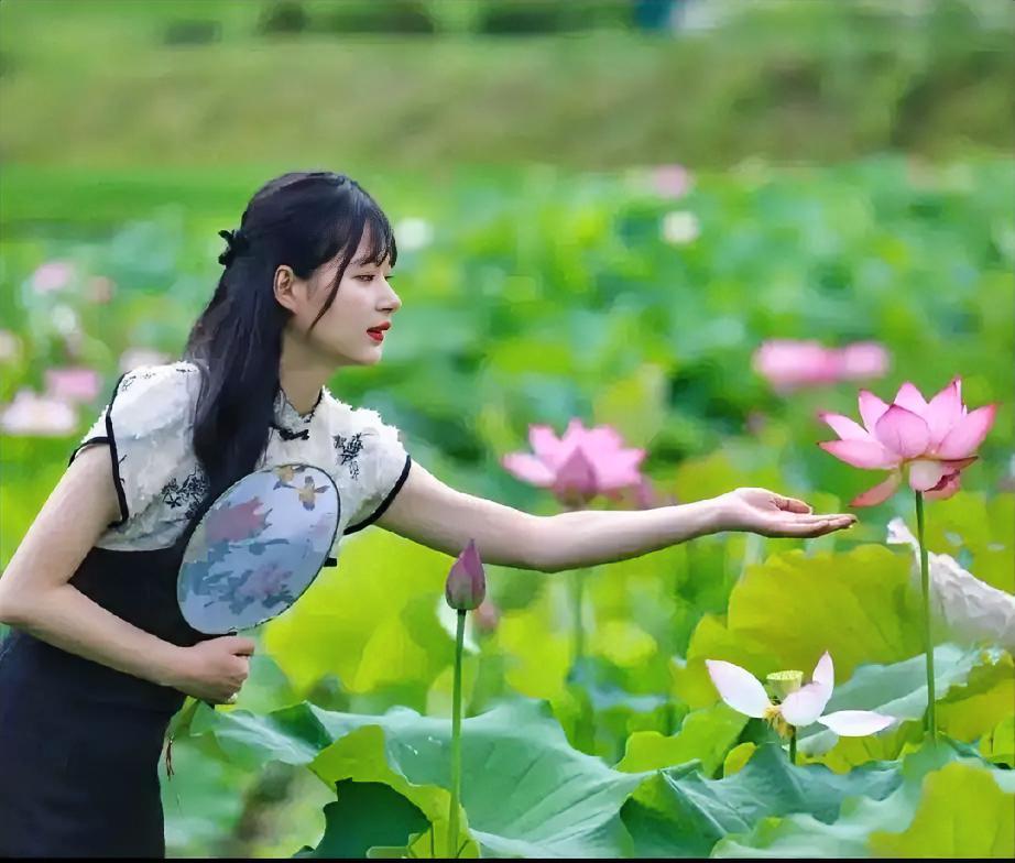 今天校园池塘里的荷花开了，水美花美人更靓！