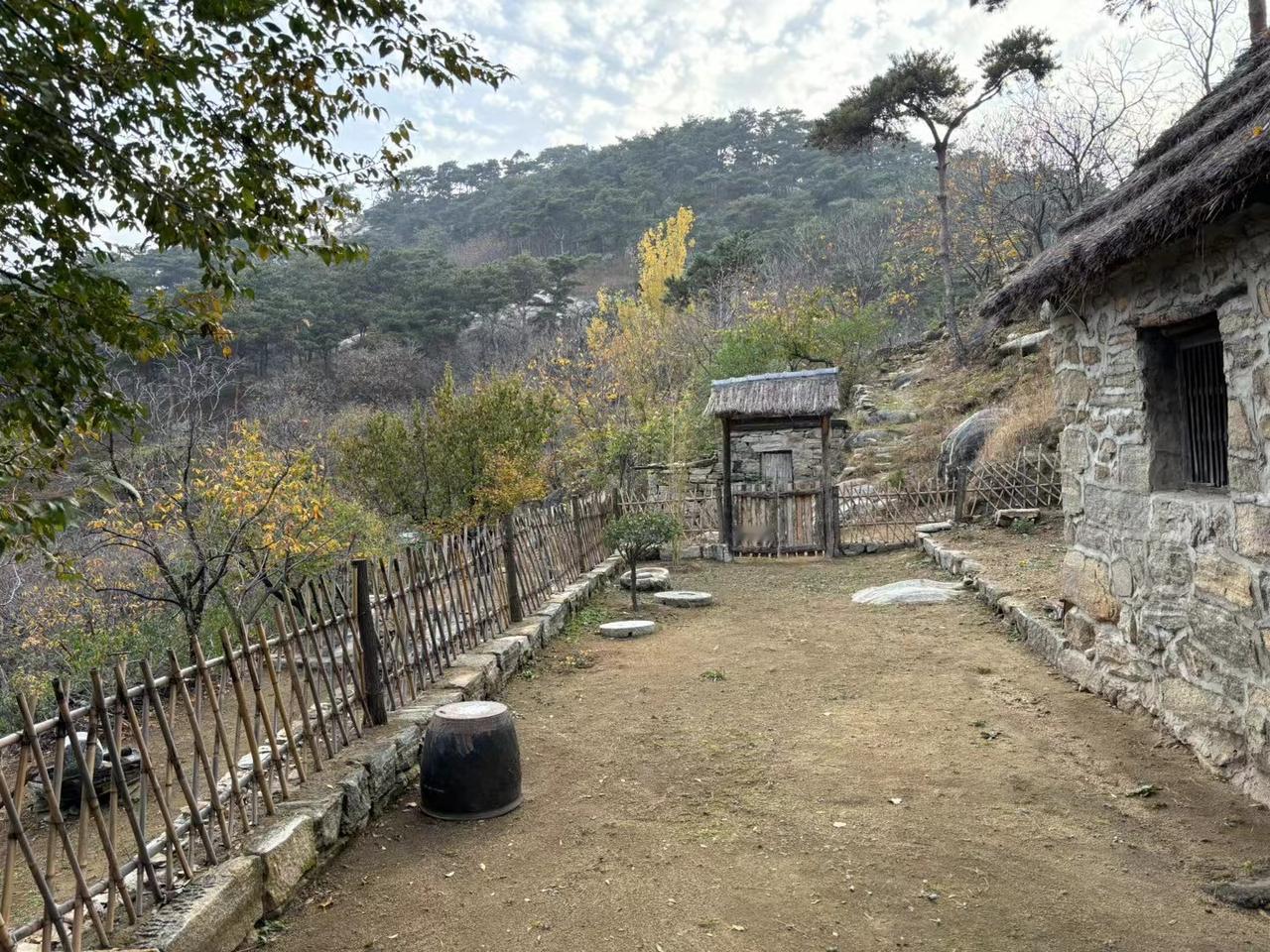 秋尽冬来初雪至，覆我半生离别愁。
​银雀山顶日渐暖，北望烟火旧沂州。
东马道西夫