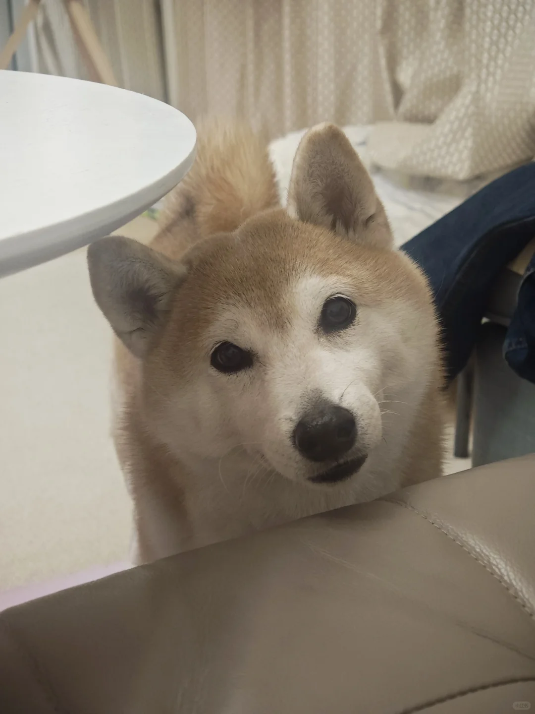 妈妈你把宝儿叫过来