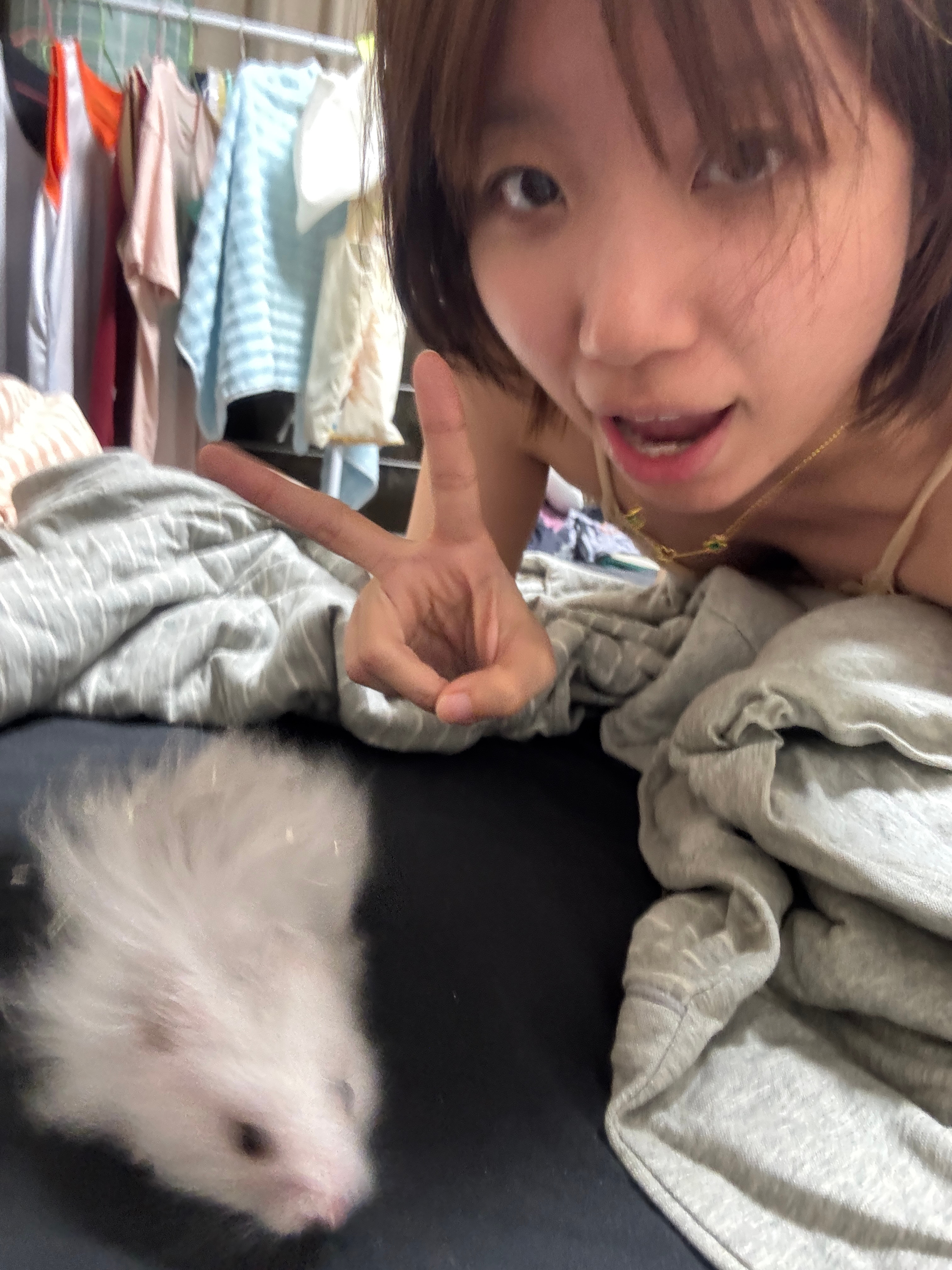 这为什么要投诉？ ​​​