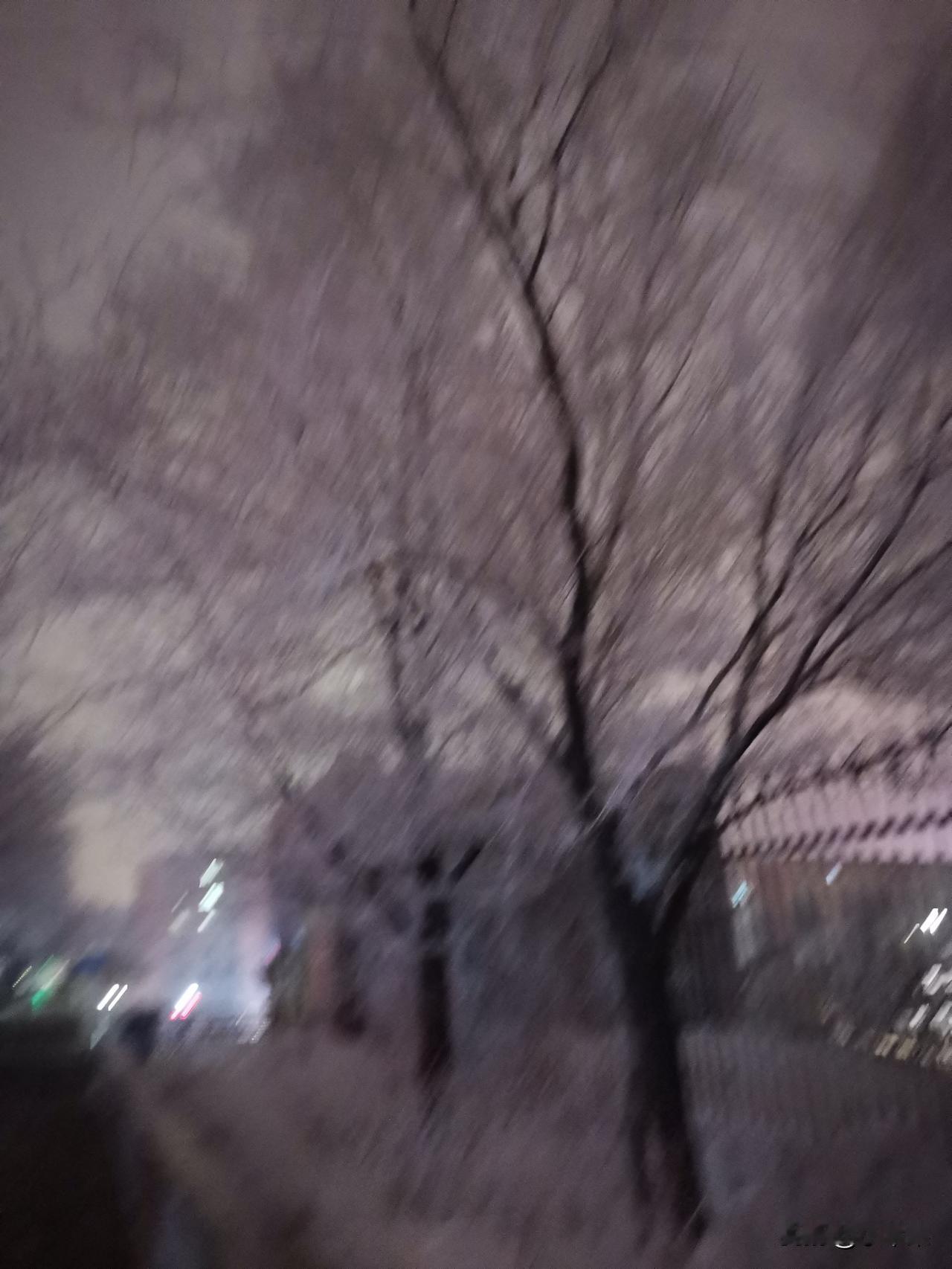 今天，明天，后天，哪一天最重要每一天都重要