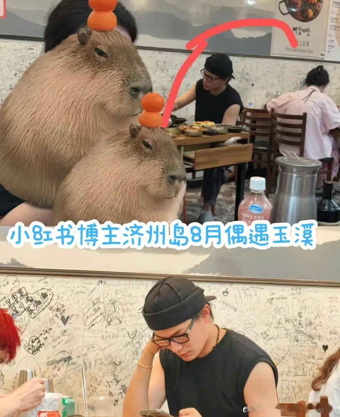 虞书欣丁禹兮疑似同游济州岛  疑似虞书欣丁禹兮同游济州岛  天呐豹豹猫猫八月疑似