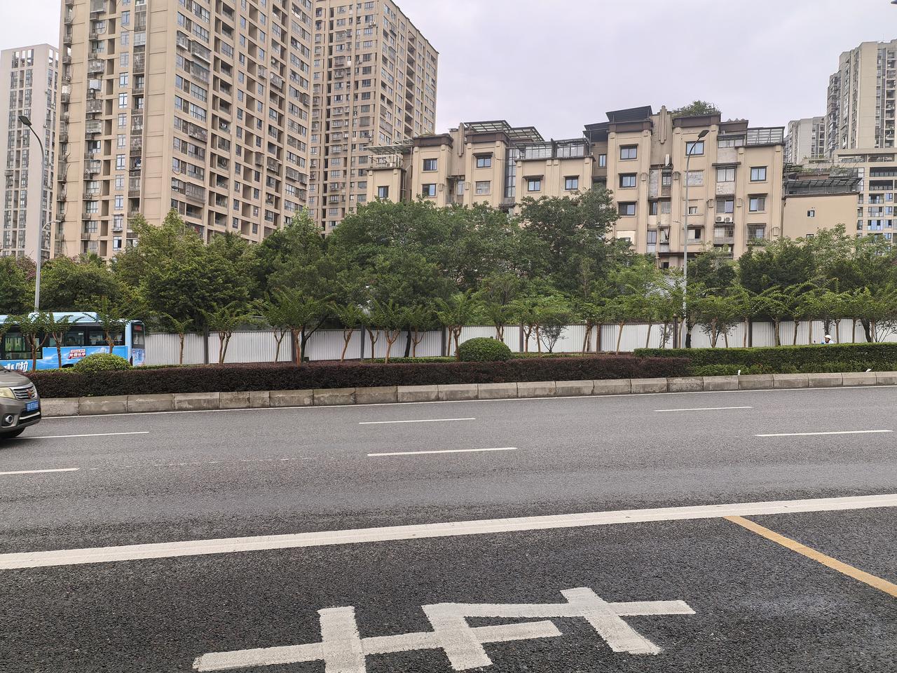 重庆的黄桷树，都说是重庆街头反骨仔：不按季节落叶，大多数都在春季换新叶子！但大家