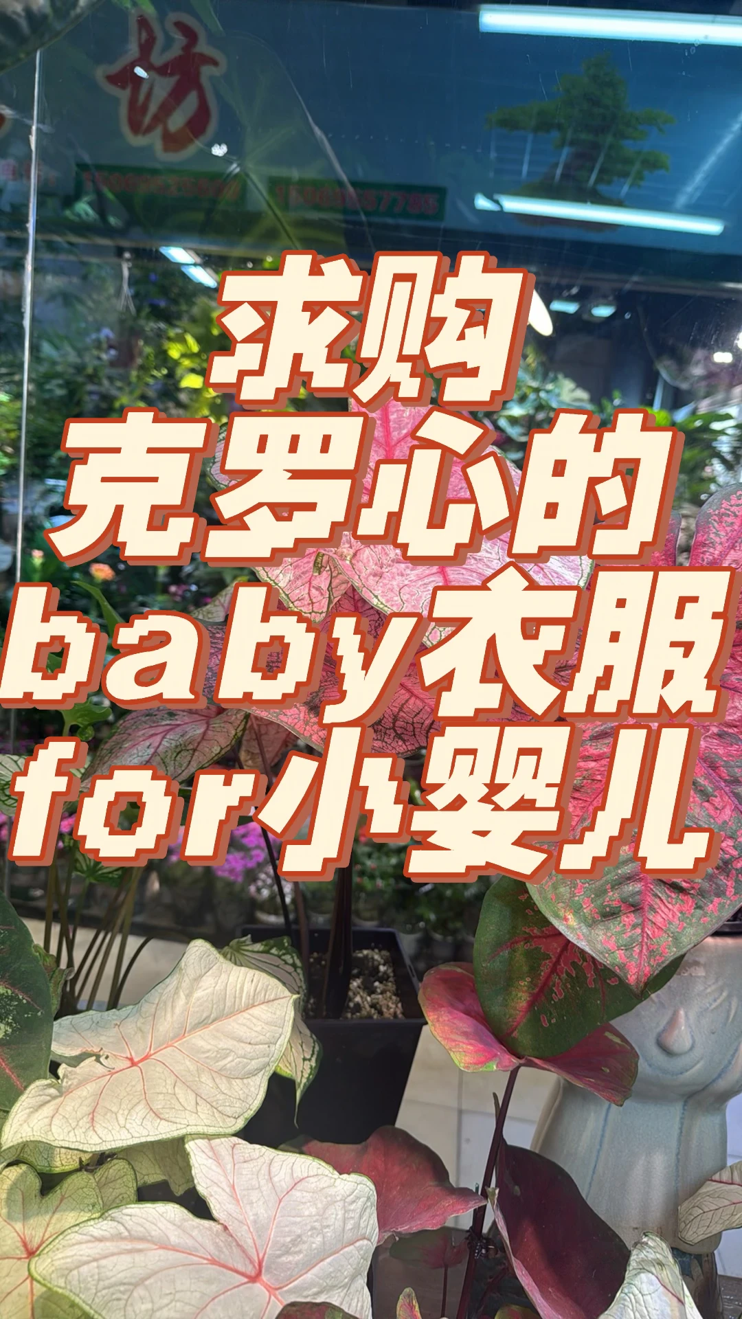 求购克罗心baby衣服for挚爱亲朋的小婴儿