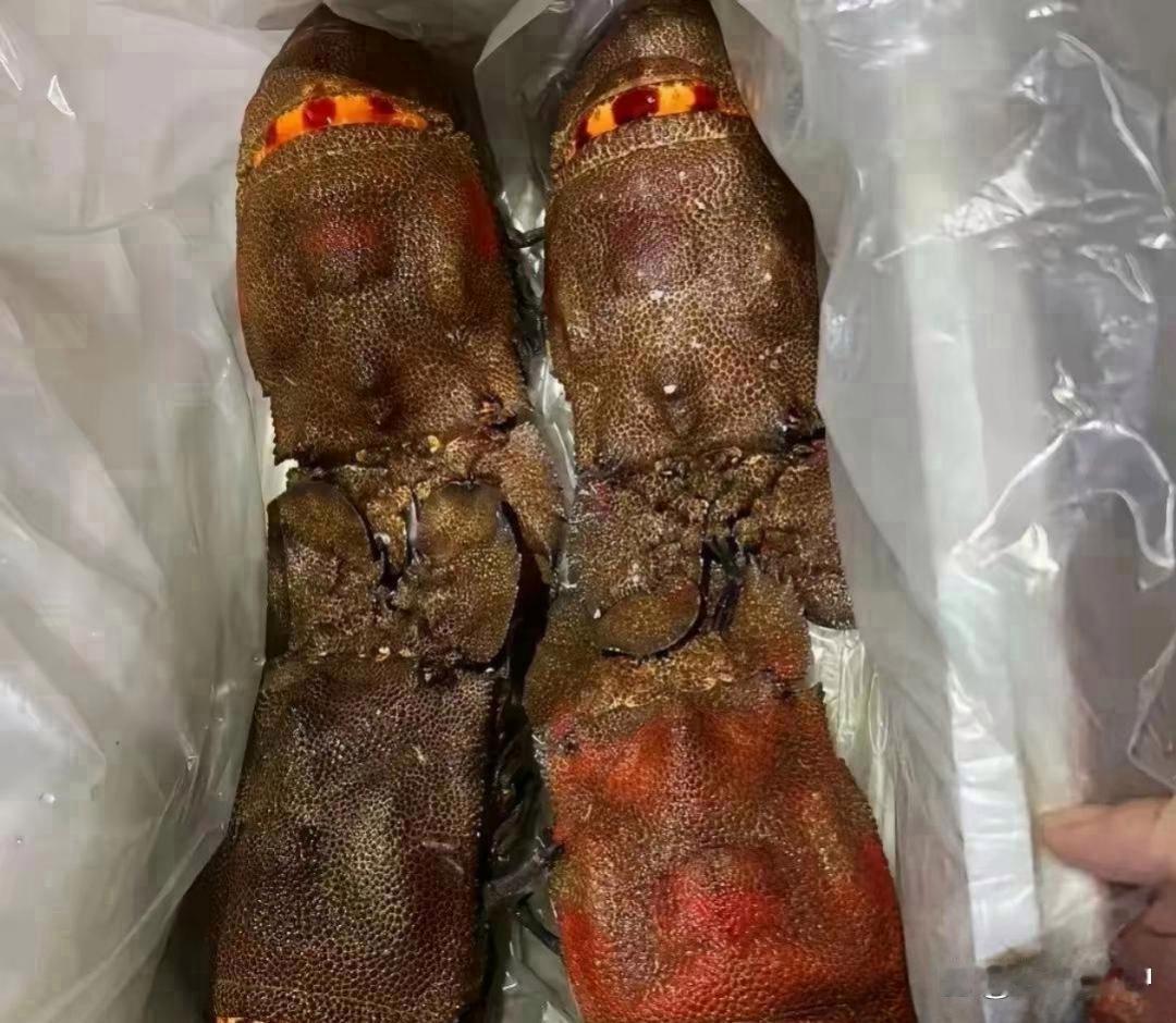 老板出差回来带给大家带的礼品，说是特地买回来犒劳大家的，回家打开直接傻眼了，这个