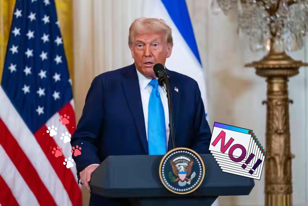 快讯 快讯
美国总统特朗普宣布了！

当地时间10月31日，当被问及美国与加拿大