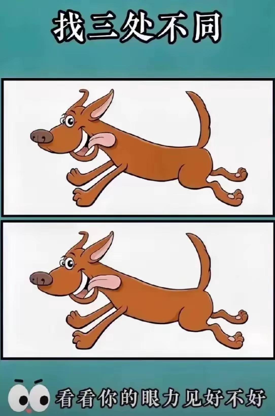 有三处不同，
你能找到吗