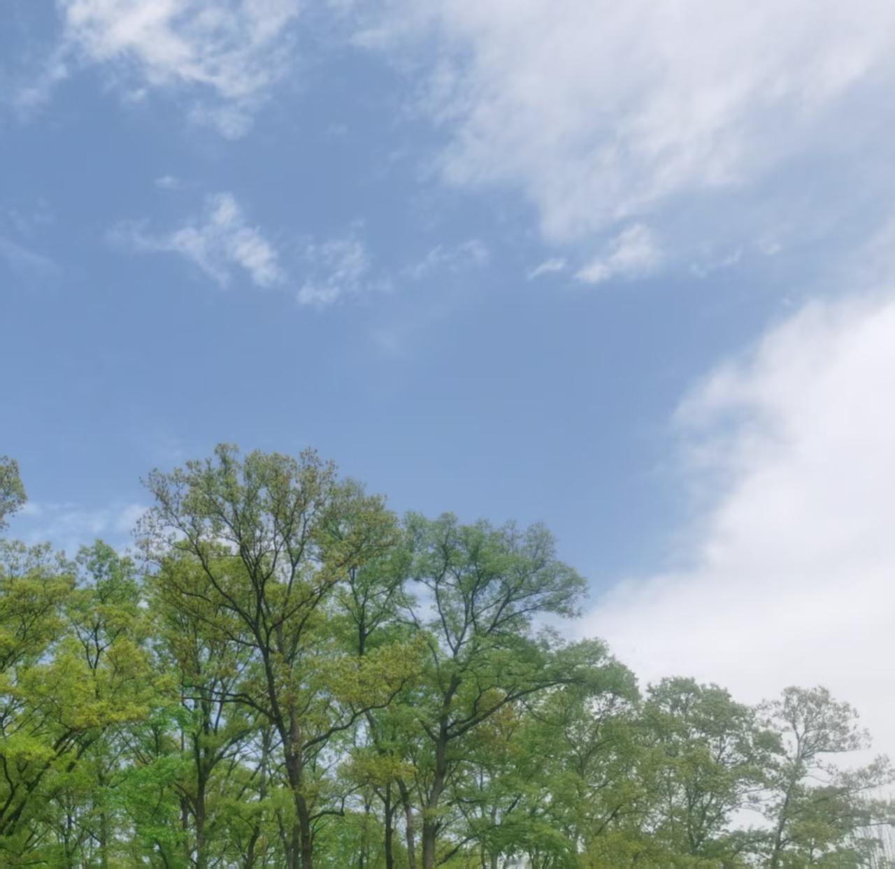 儿子收到免费读博的全额奖学金通知，我和老公在万般高兴里。

亲戚一说，他们家儿子