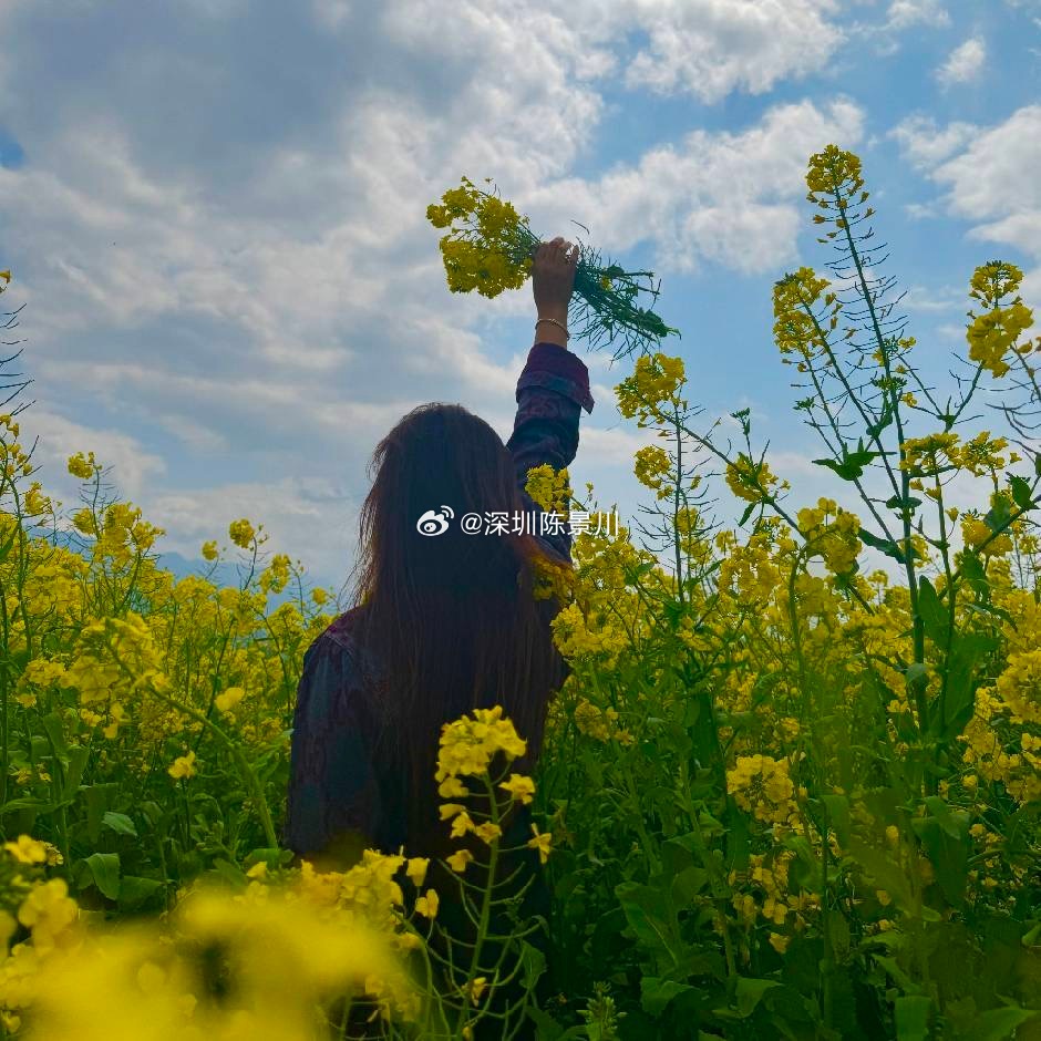 6月只剩2个交易日了，A股明天开盘是涨是跌？不绕弯子说结果，明天低开高走，收阳线