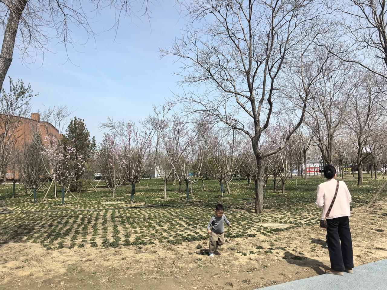 现在小孩子大人想得太多！一定要走向自然，沾点土气。这是人自身的需要！目前特别是大