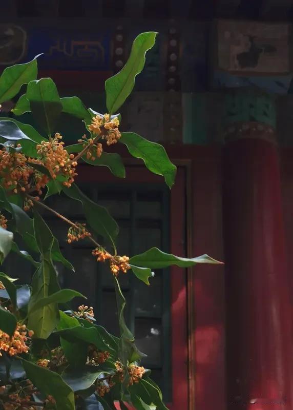 夏日荷花香满池，你对下联 “夏日荷花香满池”这句上联，描绘出夏日荷塘荷花飘香的美