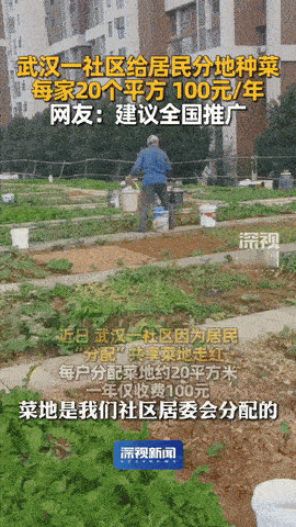 太贴心了！

湖北武汉，某社区给每家每户居民分配20平米的菜地，还给配备了水井，